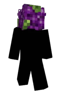 mjmeder Minecraft avatar full body