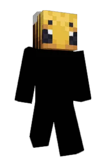 mjoosh Minecraft avatar full body