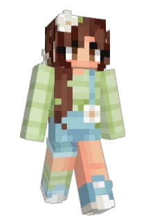 mjsong05 Minecraft avatar full body