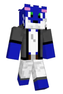 mjt410 Minecraft avatar full body