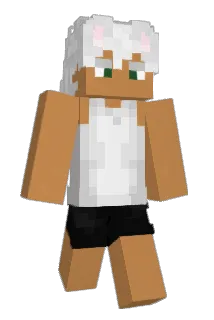 mkku Minecraft avatar full body