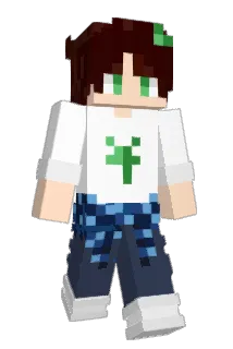 mkunk2808 Minecraft avatar full body