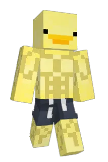 mkzinjoga Minecraft avatar full body
