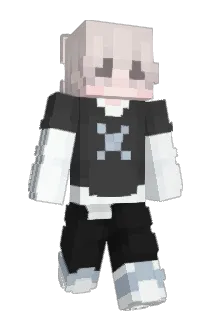 mlem_widzowie Minecraft avatar full body