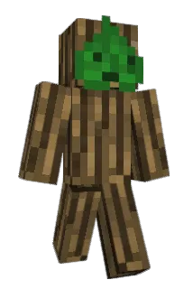 mmaji Minecraft avatar full body