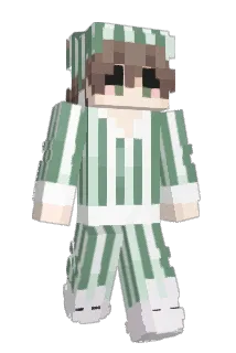 mmateeo Minecraft avatar full body