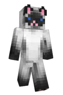 mmaxonn Minecraft avatar full body
