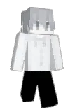 mn982539 Minecraft avatar full body
