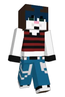 mnhashtag4325 Minecraft avatar full body