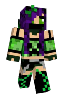 mni99998 Minecraft avatar full body