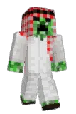 mnichalec Minecraft avatar full body