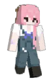 mo2118 Minecraft avatar full body