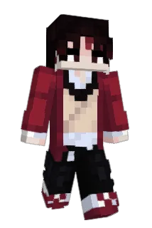 mo9531 Minecraft avatar full body