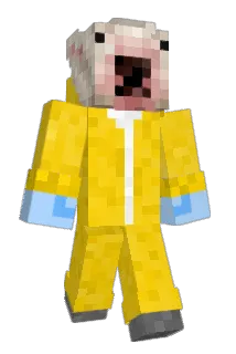 mobhy_ Minecraft avatar full body