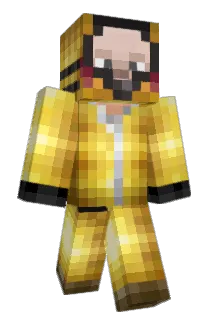 modpuc_premium Minecraft avatar full body