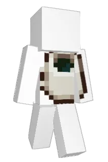 mofferato Minecraft avatar full body