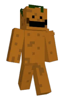 moffipoffi Minecraft avatar full body