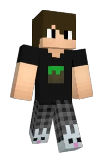 moise19 Minecraft avatar full body