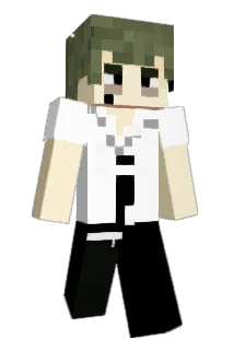 moldapartment Minecraft avatar full body
