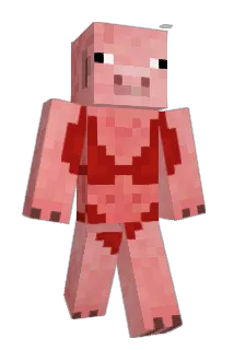 momcheese Minecraft avatar full body