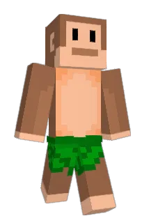 momooooo Minecraft avatar full body