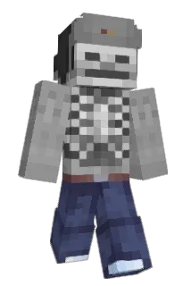 momotf Minecraft avatar full body