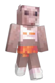 moonitzy Minecraft avatar full body