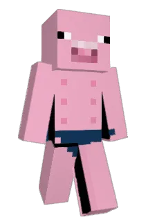 mootpaladin Minecraft avatar full body