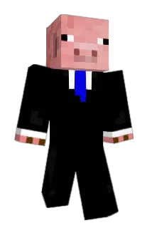 morrisvdhulst Minecraft avatar full body
