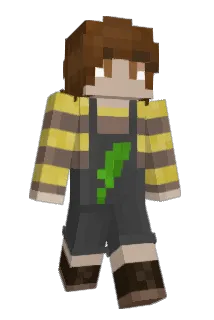 mossybeez Minecraft avatar full body