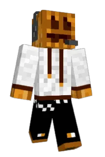 mpidruidzz Minecraft avatar full body