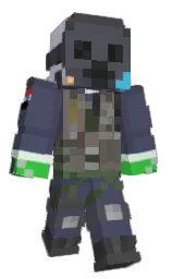 Custom render preview