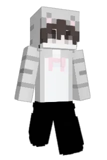 mqe2 Minecraft avatar full body