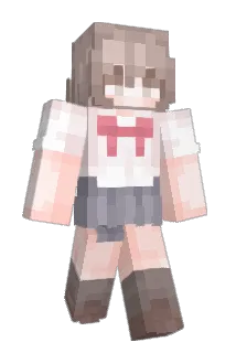 mqll Minecraft avatar full body