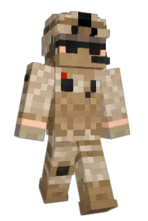mr1371 Minecraft avatar full body