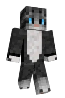 mr__kotik___ Minecraft avatar full body
