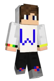 mr_dom_g Minecraft avatar full body