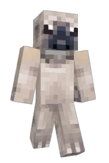 mr_mine123 Minecraft avatar full body