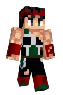 mr_vinch Minecraft avatar full body