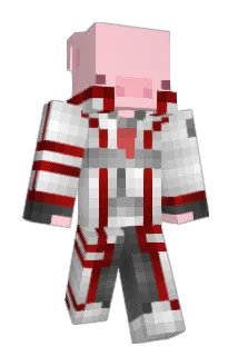 mr_wither1 Minecraft avatar full body