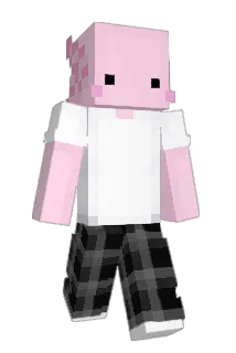 mraduchi Minecraft avatar full body
