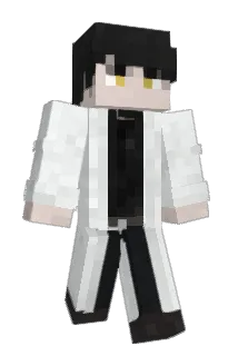mravesomecat Minecraft avatar full body