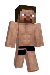 mrfolk223 Minecraft avatar full body