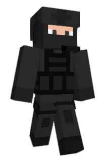 mrgametiger Minecraft avatar full body
