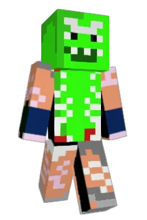 mrpickeeel Minecraft avatar full body