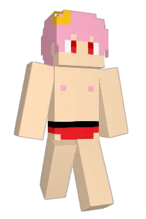 msdosa Minecraft avatar full body