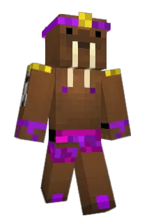 msmbennyb Minecraft avatar full body