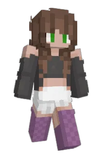 msneta1608 Minecraft avatar full body