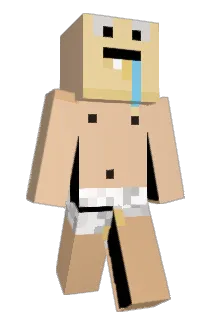 msplinter11 Minecraft avatar full body