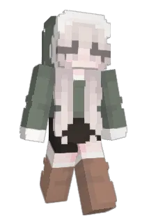 mspresident29 Minecraft avatar full body